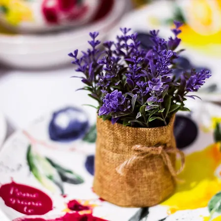 Apartment Garden On Deribasovskaya Odesa